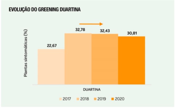 greening duartina