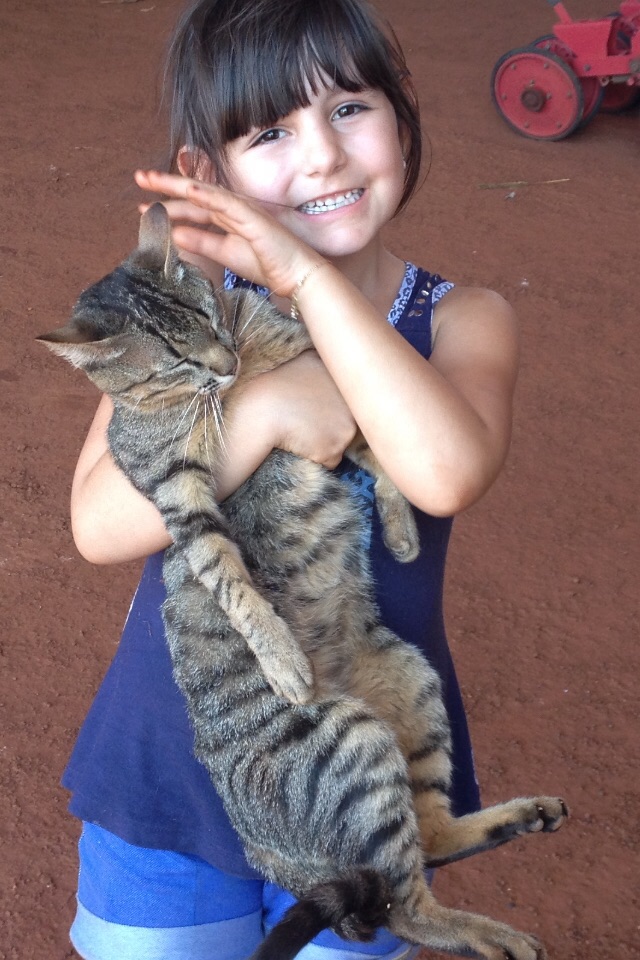 Imagem do dia - Fazenda 3 de Ouro em Parauna (GO), dos irmãos Rossetti