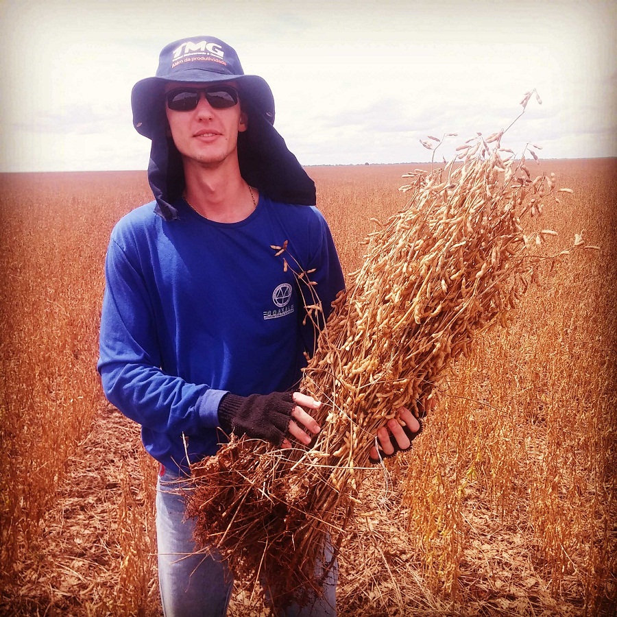 Imagem do dia - Vinicius Marchioro na lavoura de soja em Nova Ubiratã (MT)