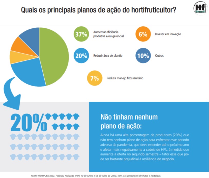 plano de ação cepea hortifruti 2020