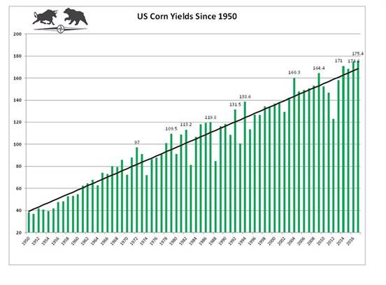 Gráfico produtividade de milho nos EUA - Diversified