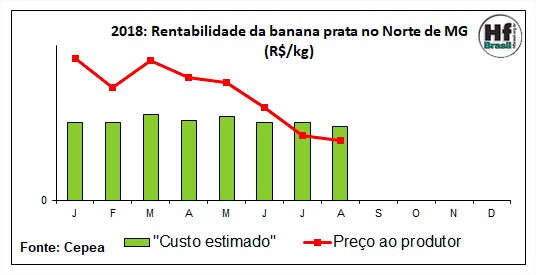 Rentabilidade da banana - Cepea Hortifruti