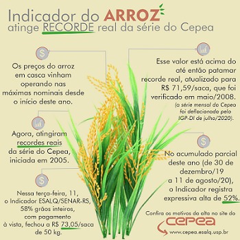 arroz cepea