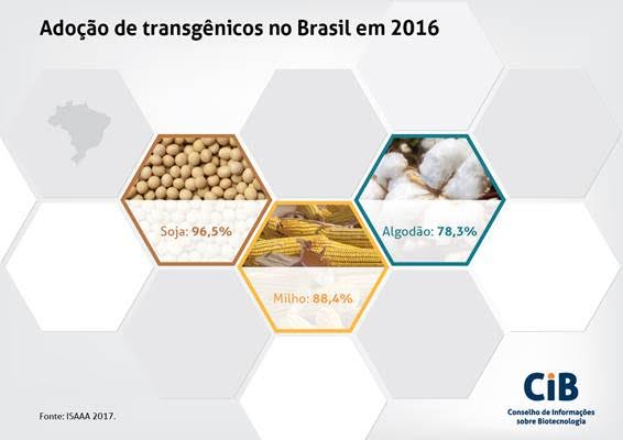 Adoção de transgênicos no Brasil - 2016