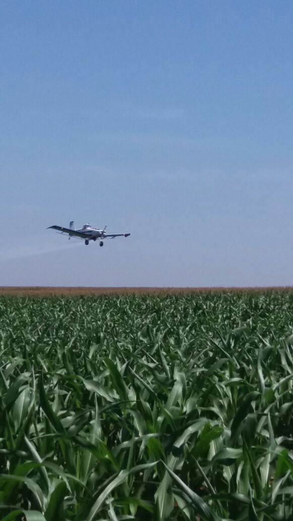 Imagem do dia - Aplicação de fungicida na lavoura de milho em Cruzália (SP), da Família Varolo