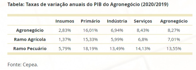 pib agro cepea 2019/2020