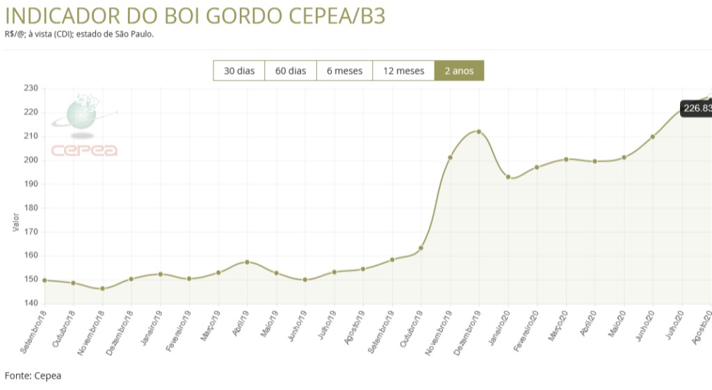 abcs exportação suínos 5