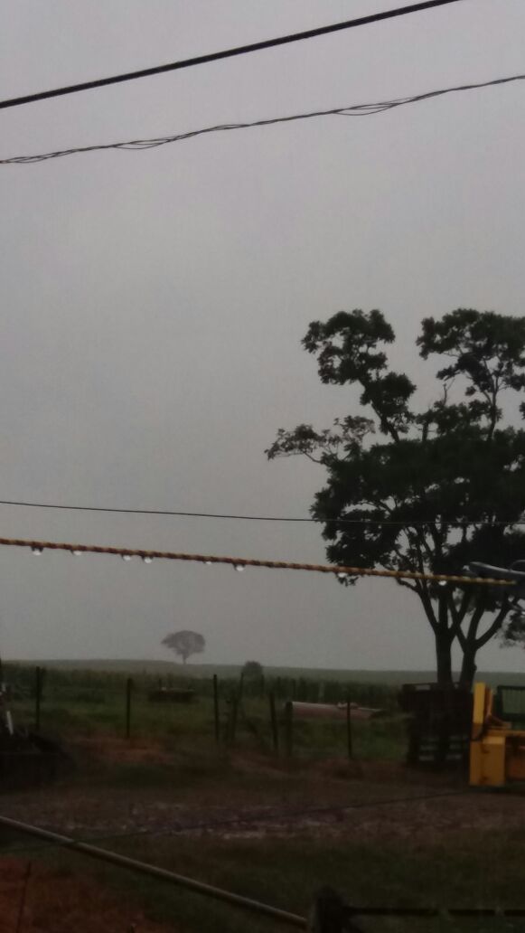 Imagem do dia - Chuvas em Cruzália (SP), no Sítio São Pedro da Família Varolo