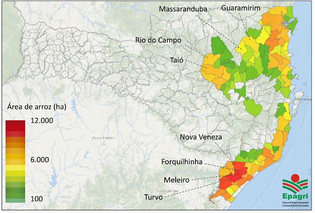 mapeamento arroz epagri