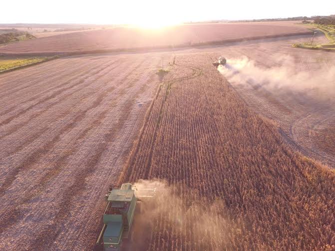 Imagem do dia - Colheita de soja em Catalão (GO), na Fazenda Campo Limpo