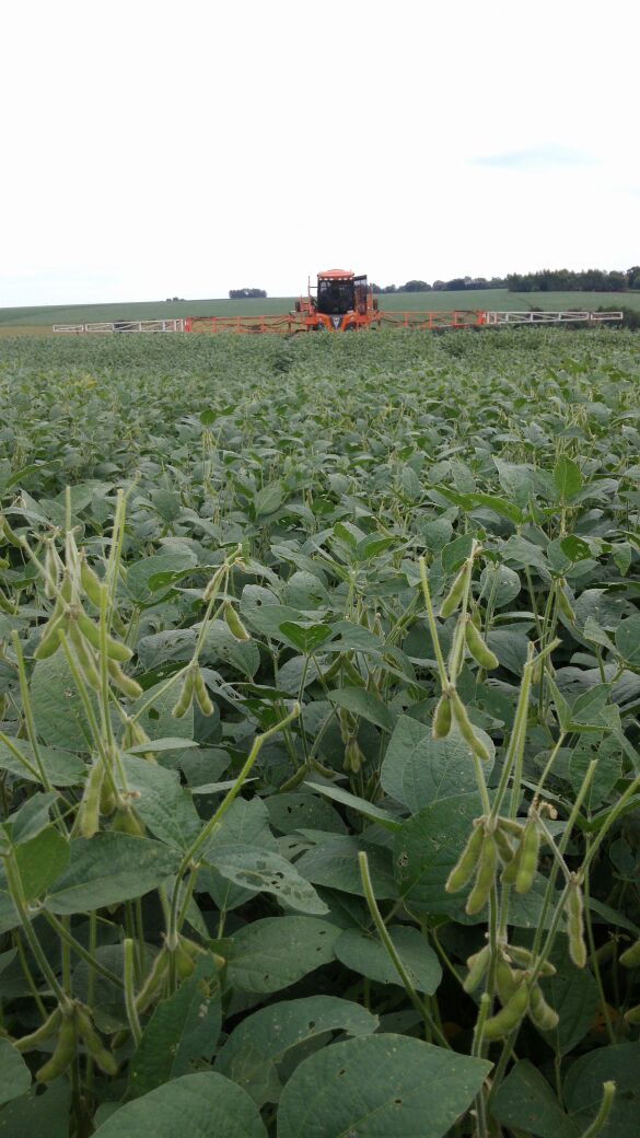 Imagem do dia - Aplicação de fungicidas na lavoura de soja safrinha em San Alberto (PY), do produtor Ronaldo Alves