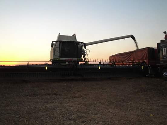 Imagem do dia - Colheita de soja em Curuguty (PY), do produtor Eliseo Guntzel