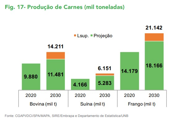 projeção produção carnes mapa 2020 2030