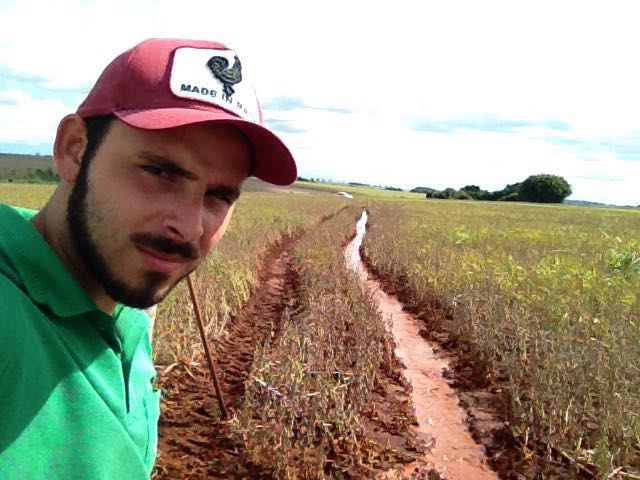 Imagem do dia - Lavoura de soja em Dourados (MS). Enviado pelo Técnico Agrícola  José Augusto Sanches Bicudo
