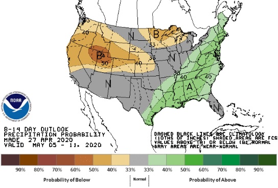 Chuvas 8 a 14 dias EUA