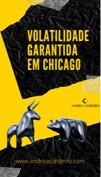Volatilidade - Artigo Andrea Cordeiro