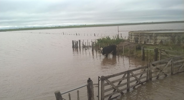 Chuva em Eduardo Castex, La Pampa, Argentina