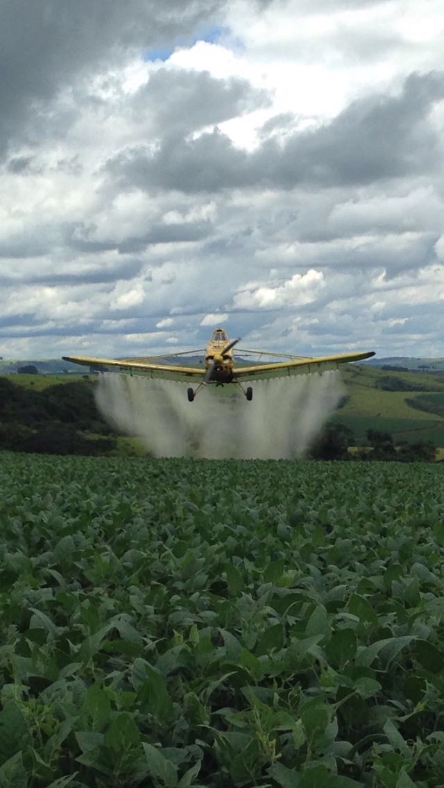 Imagem do dia - Pulverização na lavoura de soja em Tapira (MG)