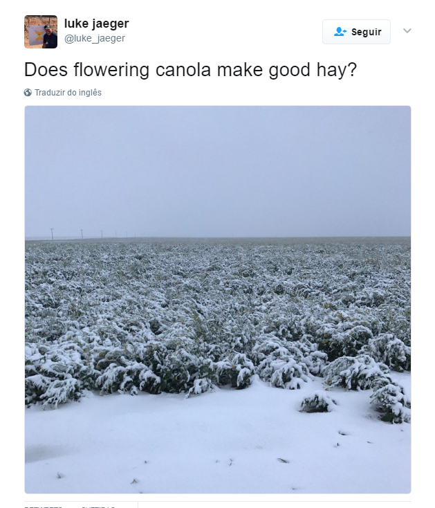 Frio e chuva atingem áreas produtoras dos EUA - Foto: Reprodução/Twitter