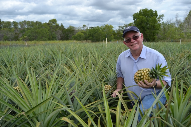 Pesquisador José Aires Ventura, do Incaper, é responsável pelas pesquisas com a cultivar de abacaxi - Foto: Divulgação/Incaper