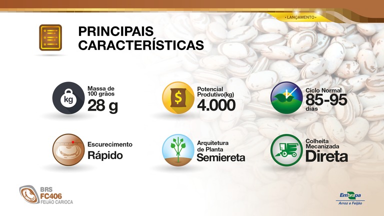 feijão nova cultivar embrapa