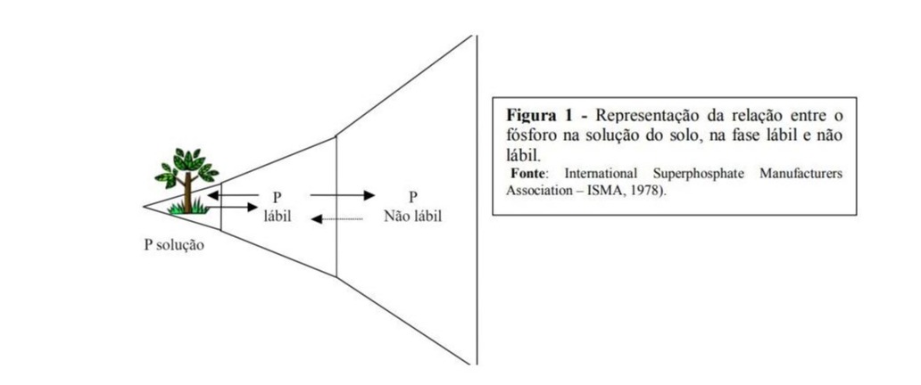 Procafé - Fósforo no solo 1