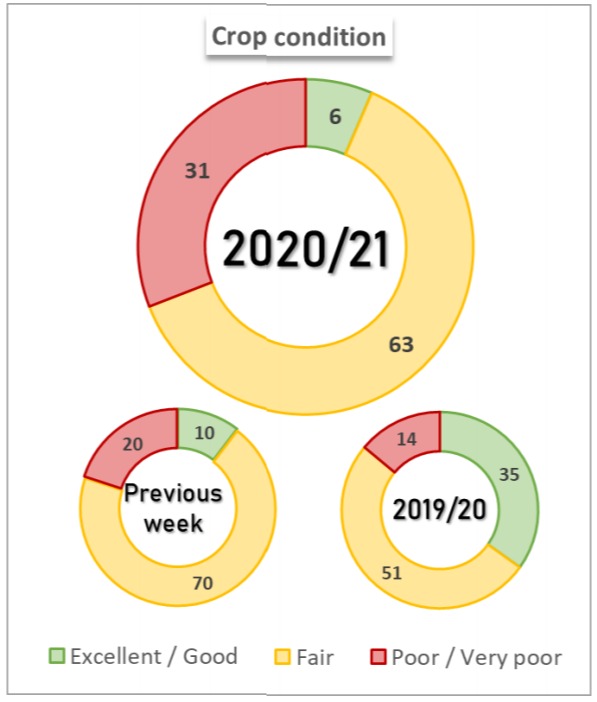 Condições das lavouras na Argentina - Bolsa de Buenos Aires