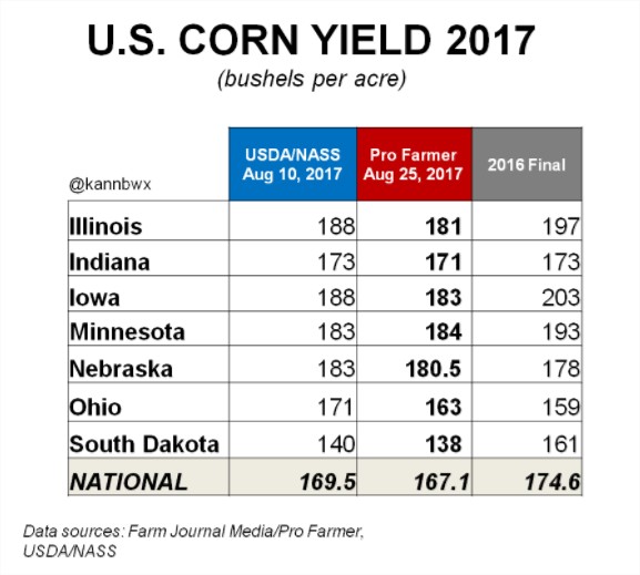 Projeções do Crop Tour para a safra de milho dos Estados Unidos