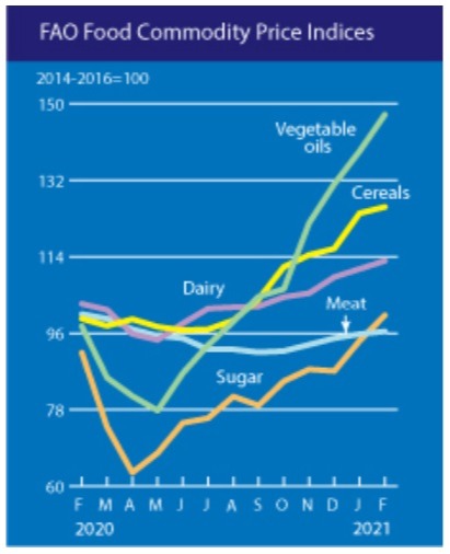 Índices de preços de alimentos da FAO - Março/21