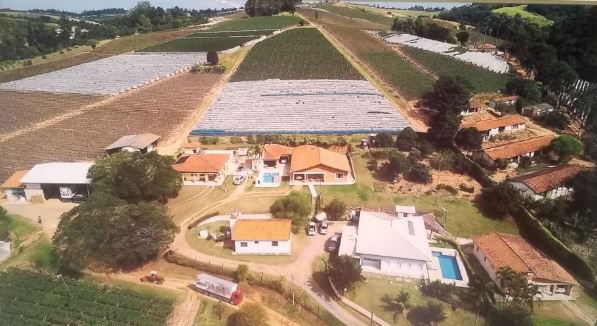 Vista aérea lavoura Carlos Pagotto