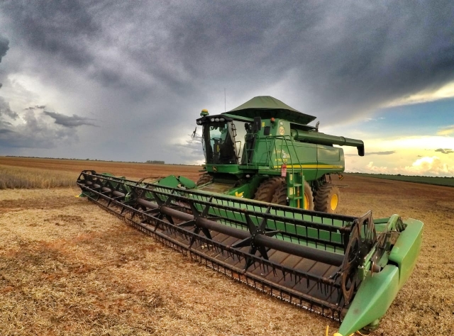 Colheita no Maranhão