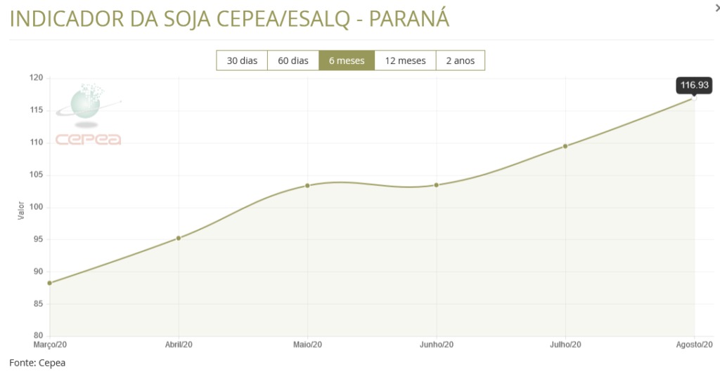 abcs exportação suínos 11