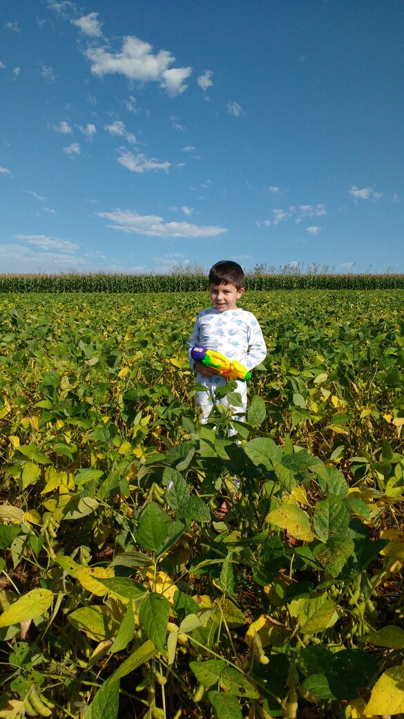 Imagem do dia - Rafael Colombeli na lavoura de soja safrinha em São Miguel do Iguaçu (PR)