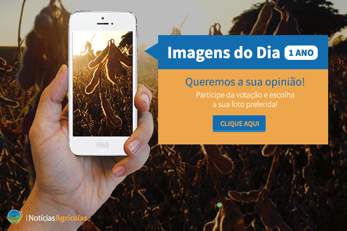 Votação Imagens do Dia