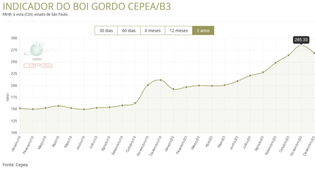 gráfico 2 cepea abcs
