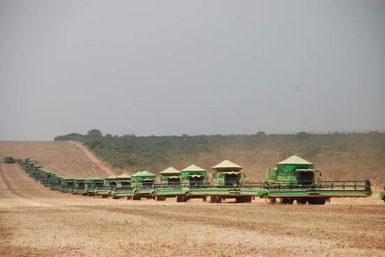 Imagem do dia - Agropecuária Morro Azul em Tangará da Serra (MT)