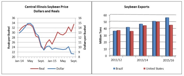 USDA - Gráficos Exportações de Soja