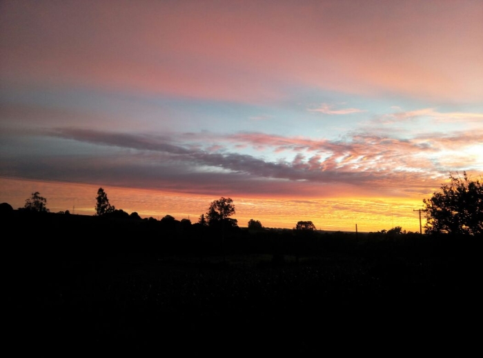 Imagem do dia - Amanhecer em Palotina (PR), na Chácara Miotto