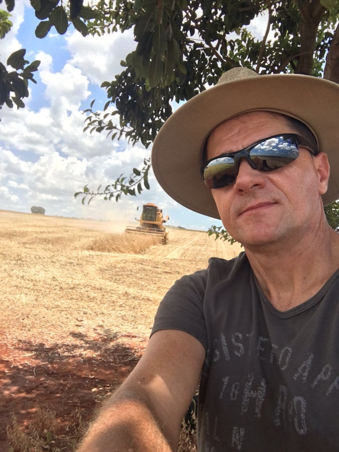 Imagem do dia - Colheita de soja em Cândido Mota (SP), da Família Nespolo