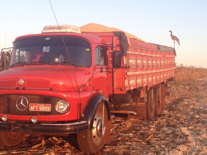 Imagem do dia - Sítio São Benedito em Manduri (SP), da Família Sandri