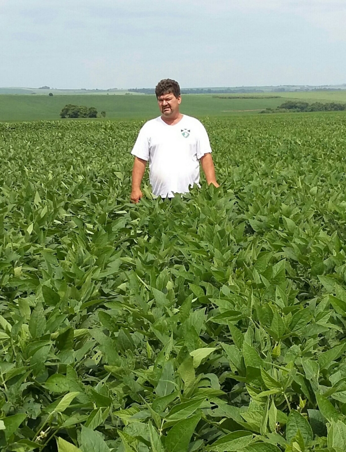 Imagem do dia - Edio Fernandes em Andirá (PR). Enviado pelo Engenheiro Agrônomo Renato Cambi