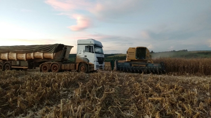 Imagem do dia - Colheita de milho em Gramados dos Loureiros (RS), na Fazenda Gasparoto.  Enviado por Dioni Bonato