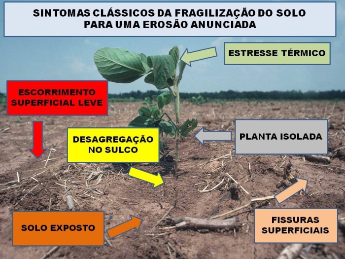 erosao afonso peche filho 2