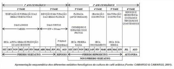 Marco Antônio Jacob - Tabela 1