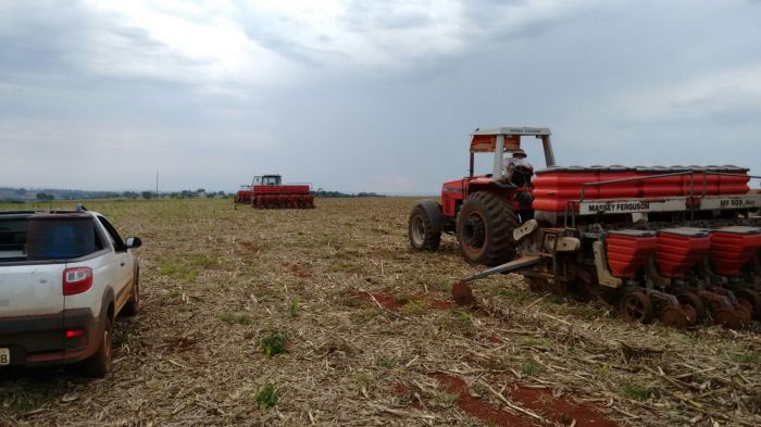 Imagem do dia - Final plantio de soja em Lagoa Formosa (MG), do produtor Pedro Gonçalves