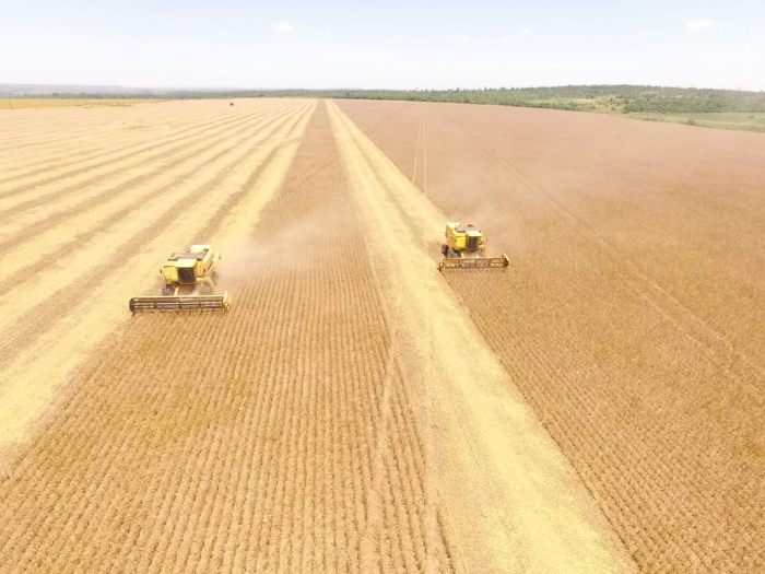 Imagem do dia - Colheita de soja no distrito de Ybyrarovana (PY), na Fazenda MS, dos produtores Everson da Silva e Rene Melgarejo