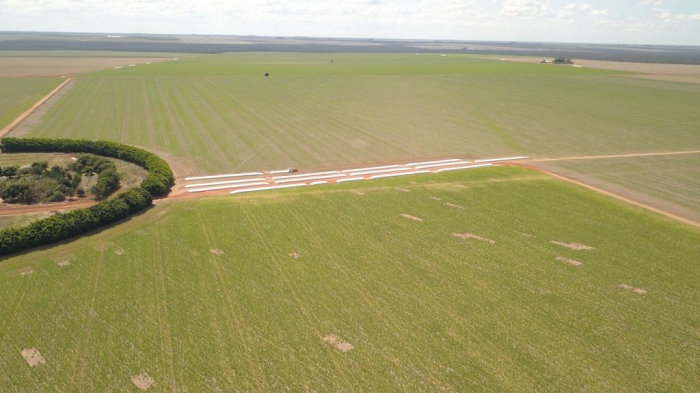 Silo bag no Oeste da Bahia