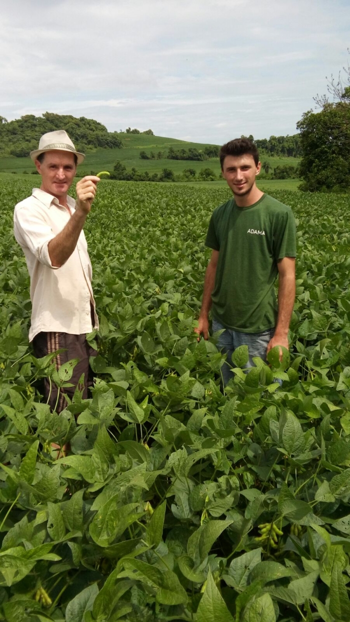 Imagem do dia - Lavoura de soja em Pranchita (PR), do produtor Ari Minato. Envio do Técnico Agrícola Celio Spillari