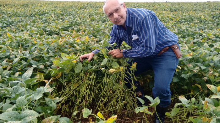 Imagem do dia - Lavoura de soja em Espigão Alto do Iguaçu (PR), na propriedade do Managó