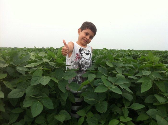 Imagem do dia - Lavoura de soja em Rio dos Bois (TO), na Fazenda Sucuri, do produtor Everaldo da Silva